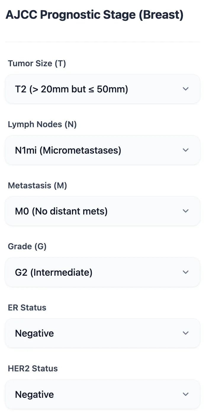 The input interface of the OncoToolkit AJCC Prognostic Stage (Breast) calculator