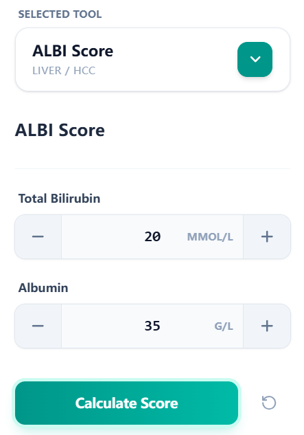 Figure 2. User-friendly input panel