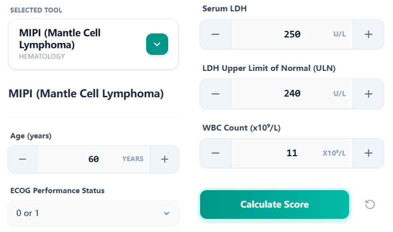 Input form of the MIPI calculator