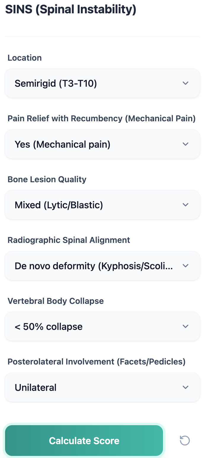 SINS Calculator Input Interface